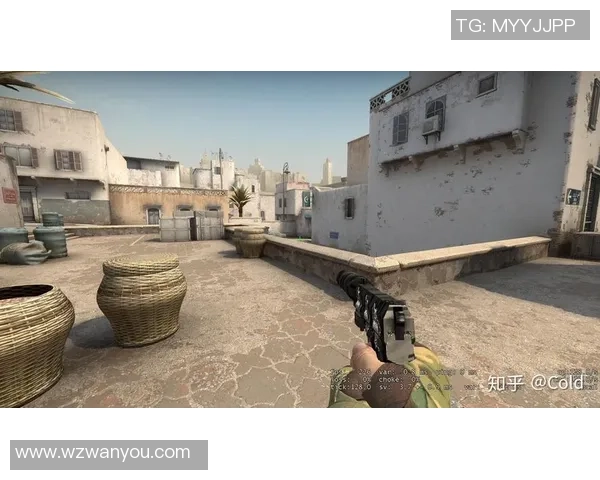 CSGO战术解析：TES区域防守策略与技巧全面剖析