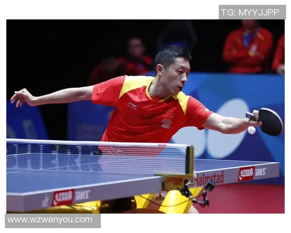 上海乒乓球队战术解析与训练策略探讨聚焦乒乓球发展新方向