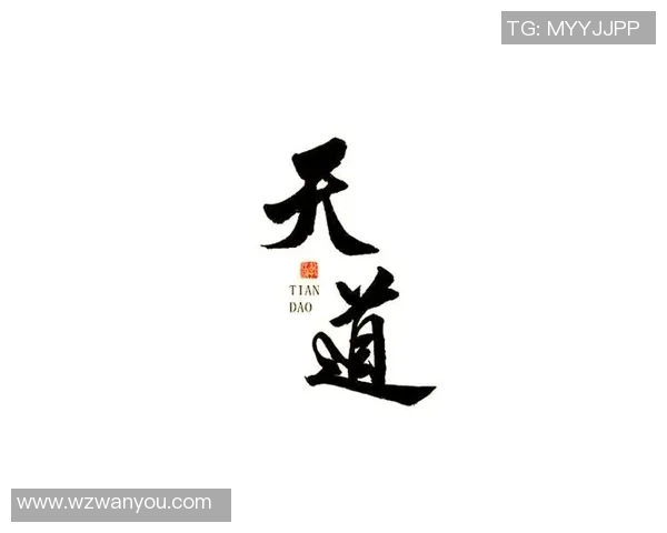 极限运动与心灵探索：赵敏的深度对话与人生哲学